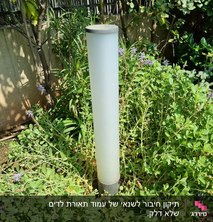 עמוד תאורה בגינה מוקף בצמחייה ירוקה